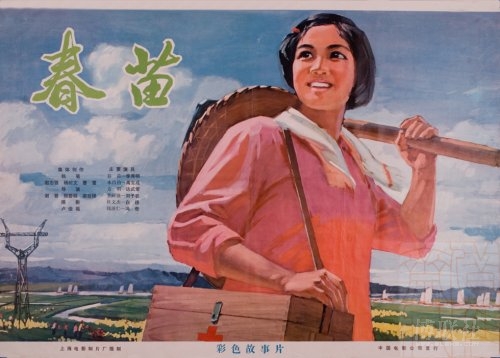 高中毕业证c